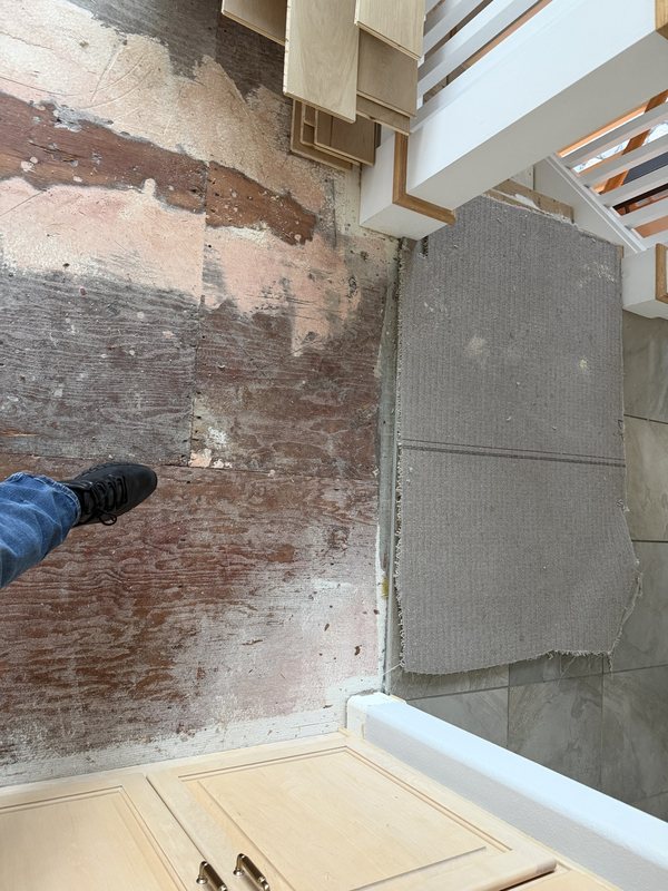 Residential water remediation and interior construction preparation work, view 1 of 19