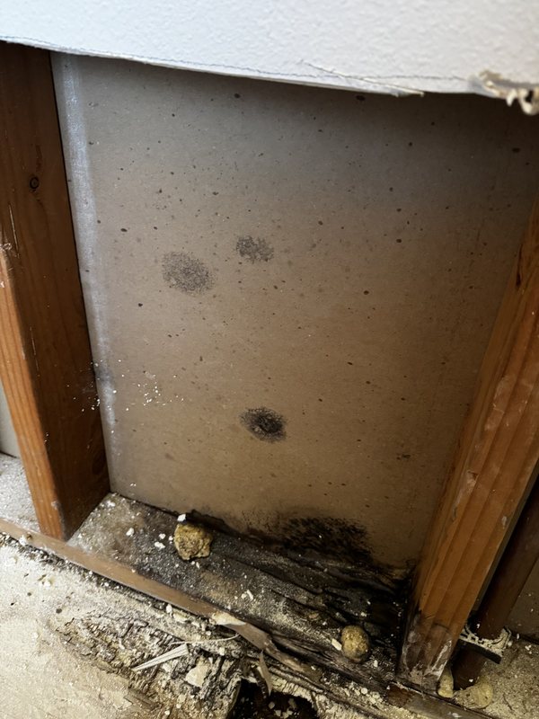Residential water remediation and interior construction preparation work, view 2 of 19