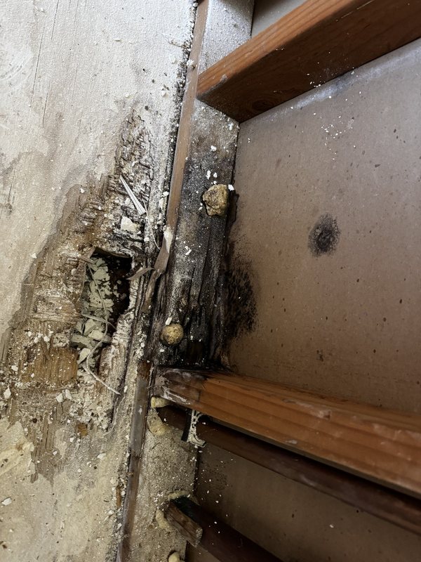 Residential water remediation and interior construction preparation work, view 3 of 19