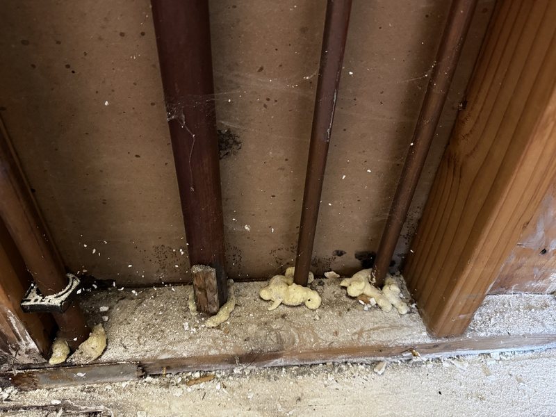 Residential water remediation and interior construction preparation work, view 4 of 19