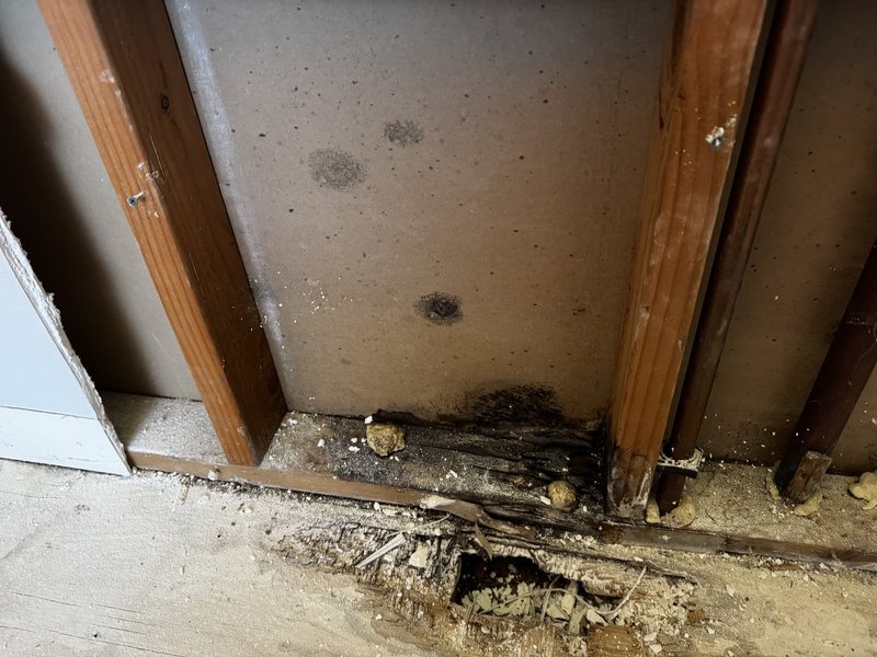 Residential water remediation and interior construction preparation work, view 5 of 19