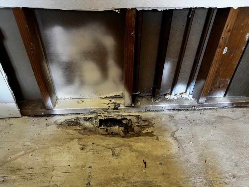Residential water remediation and interior construction preparation work, view 19 of 19