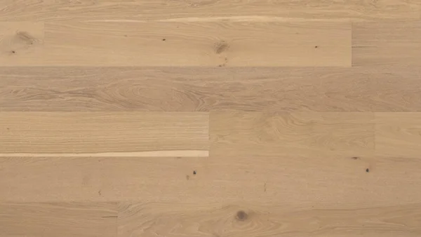 Abode by Kentwood Brushed Oak Shortbread — flooring selection with LeviArs Design & Remodeling