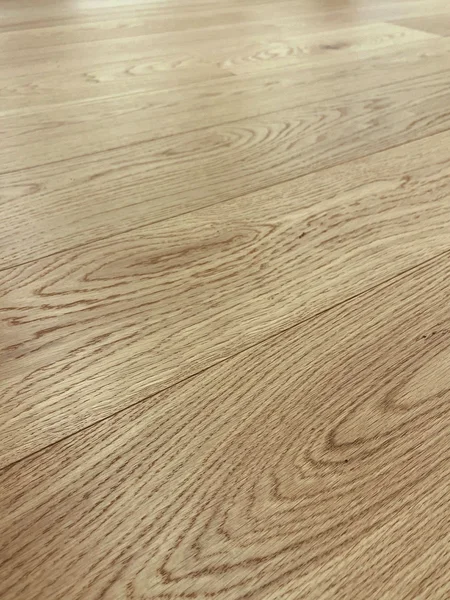 Allwood Hayden Select Plus | 7 Inch — Engineered Hardwood flooring selection with LeviArs Design & Remodeling
