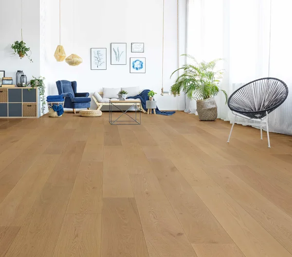 Compass Materials Nova-Plus（304）-PRO3-Plus — Engineered hardwood · European Oak flooring selection with LeviArs Design & Remodeling