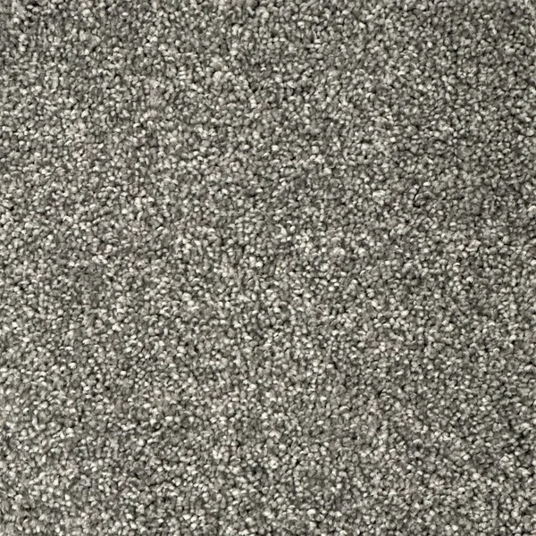 Flooring² Alpine - Foxy — Broadloom Carpet flooring selection with LeviArs Design & Remodeling