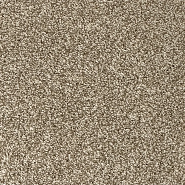 Flooring² Alpine - Glittering Gold — Broadloom Carpet flooring selection with LeviArs Design & Remodeling