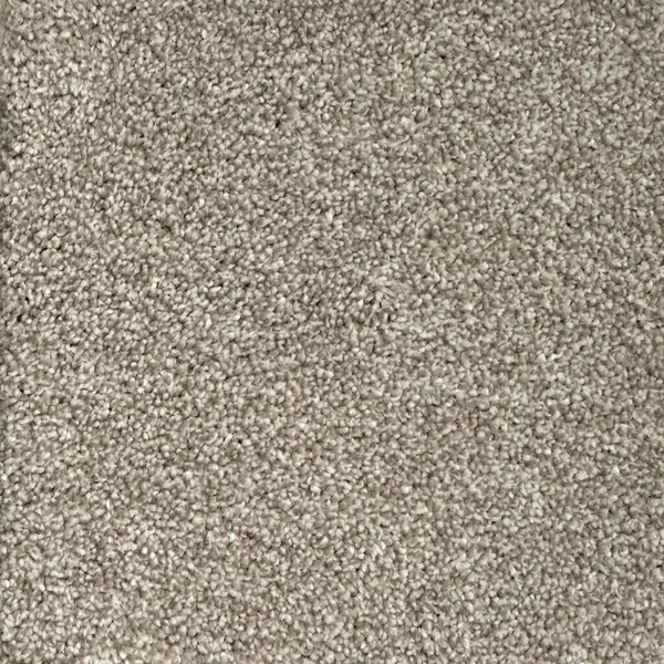 Flooring² Alpine - In the Buff — Broadloom Carpet flooring selection with LeviArs Design & Remodeling
