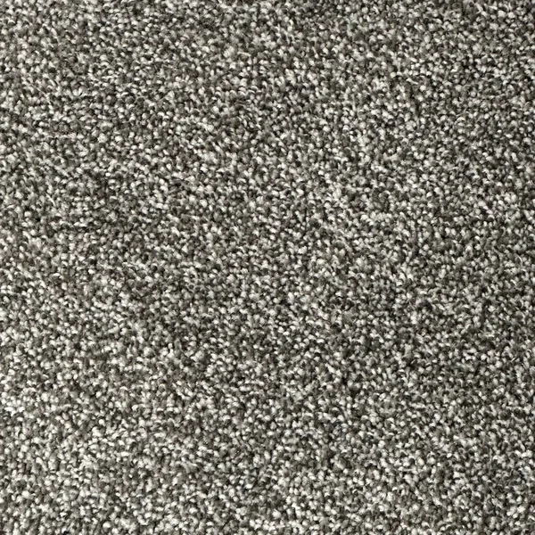 Flooring² Alpine - Iron Frost — Broadloom Carpet flooring selection with LeviArs Design & Remodeling