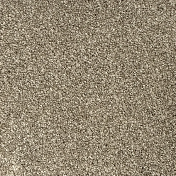 Flooring² Alpine - Shell — Broadloom Carpet flooring selection with LeviArs Design & Remodeling