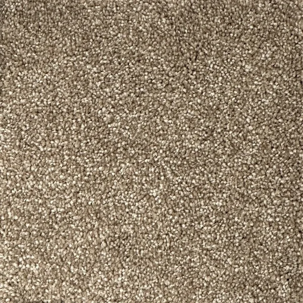 Flooring² Alpine - Tan Lines — Broadloom Carpet flooring selection with LeviArs Design & Remodeling