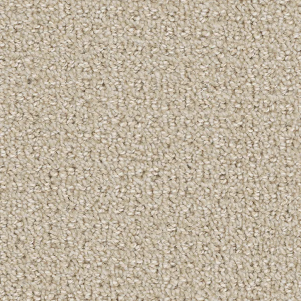 Flooring² Atlas - Champagne Fizz — Broadloom Carpet flooring selection with LeviArs Design & Remodeling