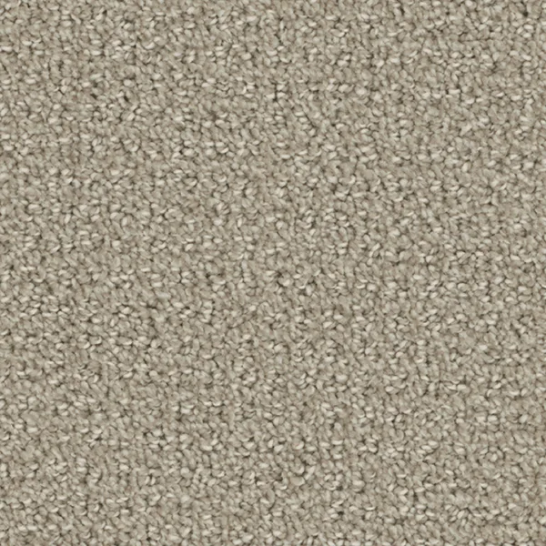 Flooring² Atlas - Moon Mist — Broadloom Carpet flooring selection with LeviArs Design & Remodeling