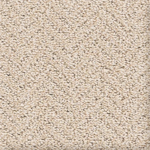 Flooring² Bora Bora - Alabaster — Broadloom Carpet flooring selection with LeviArs Design & Remodeling