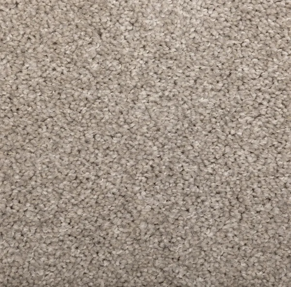 Flooring² Brighton II - Chrome — Broadloom Carpet flooring selection with LeviArs Design & Remodeling