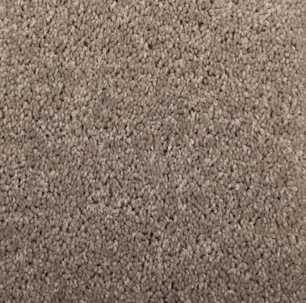Flooring² Brighton II - Fog — Broadloom Carpet flooring selection with LeviArs Design & Remodeling
