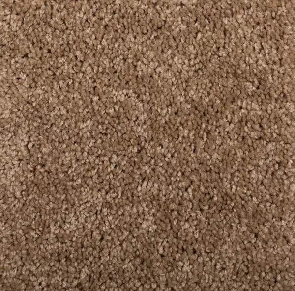 Flooring² Brighton II - Honey Beige — Broadloom Carpet flooring selection with LeviArs Design & Remodeling
