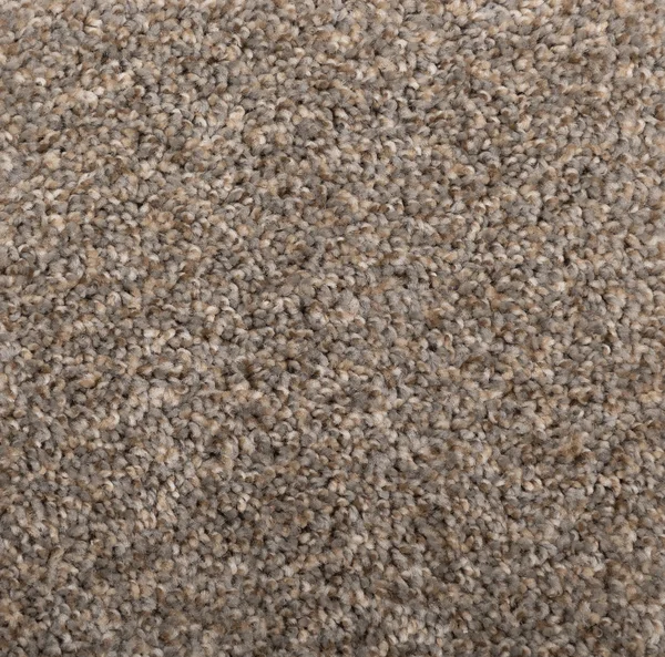 Flooring² Brighton II - Safari — Broadloom Carpet flooring selection with LeviArs Design & Remodeling