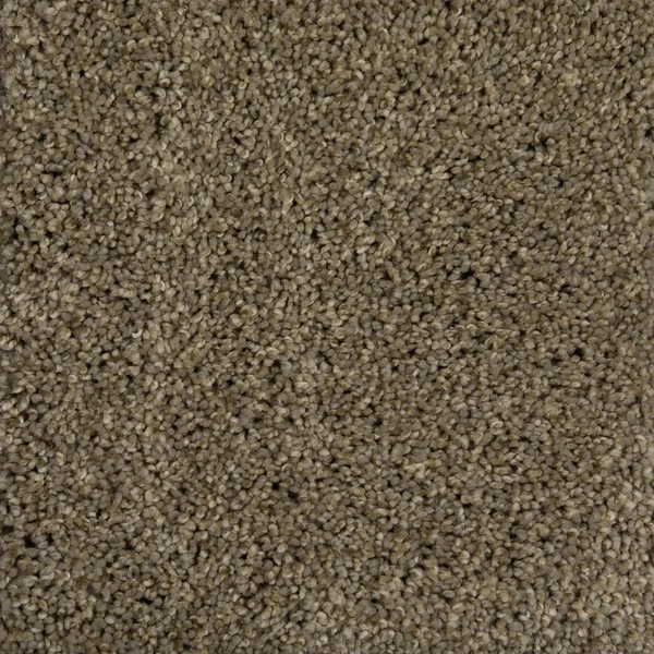 Flooring² Camden - Ash — Broadloom Carpet flooring selection with LeviArs Design & Remodeling