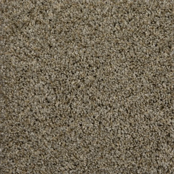 Flooring² Camden - Iron Frost — Broadloom Carpet flooring selection with LeviArs Design & Remodeling