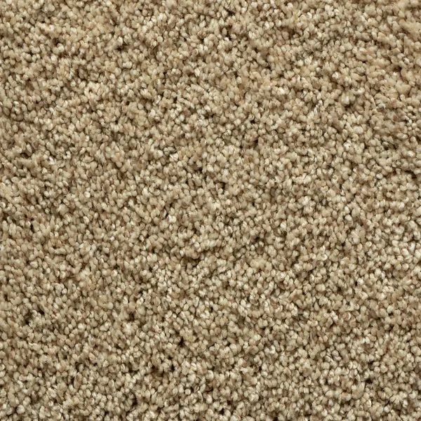 Flooring² Camden - Linen — Broadloom Carpet flooring selection with LeviArs Design & Remodeling