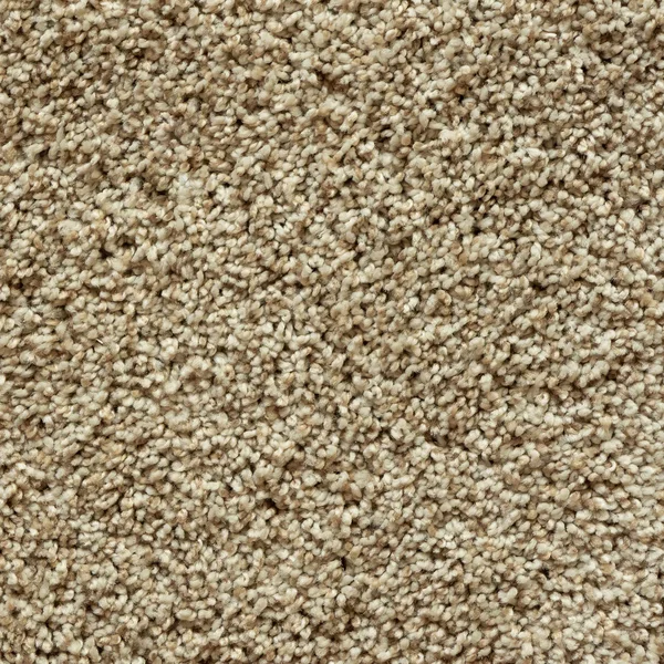 Flooring² Camden - Stucco — Broadloom Carpet flooring selection with LeviArs Design & Remodeling