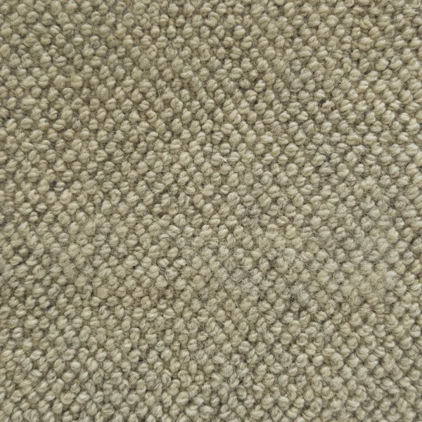 Flooring² Casual Fleece - Aspen Bark — Broadloom Carpet flooring selection with LeviArs Design & Remodeling