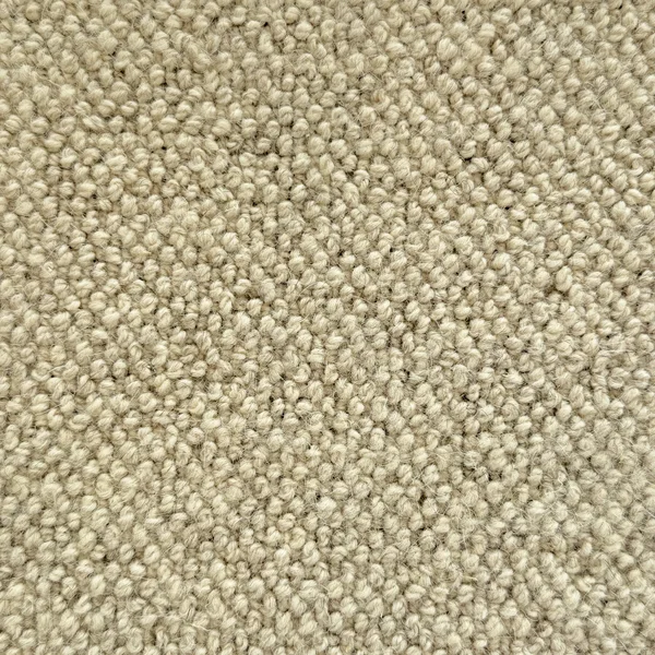 Flooring² Casual Fleece - Heathered Moss — Broadloom Carpet flooring selection with LeviArs Design & Remodeling