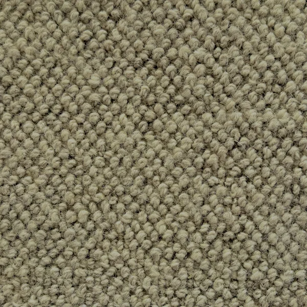 Flooring² Casual Fleece - Timber Brown — Broadloom Carpet flooring selection with LeviArs Design & Remodeling