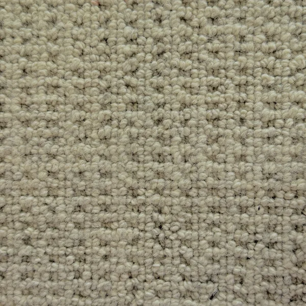 Flooring² Elegant Fleece - Aspen Bark — Broadloom Carpet flooring selection with LeviArs Design & Remodeling