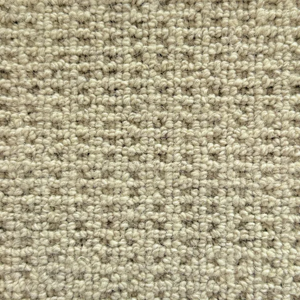 Flooring² Elegant Fleece - Heathered Moss — Broadloom Carpet flooring selection with LeviArs Design & Remodeling