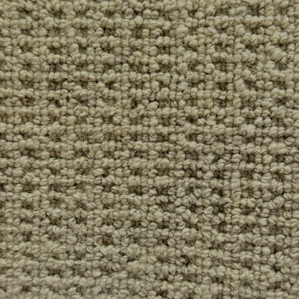 Flooring² Elegant Fleece - Timber Brown — Broadloom Carpet flooring selection with LeviArs Design & Remodeling