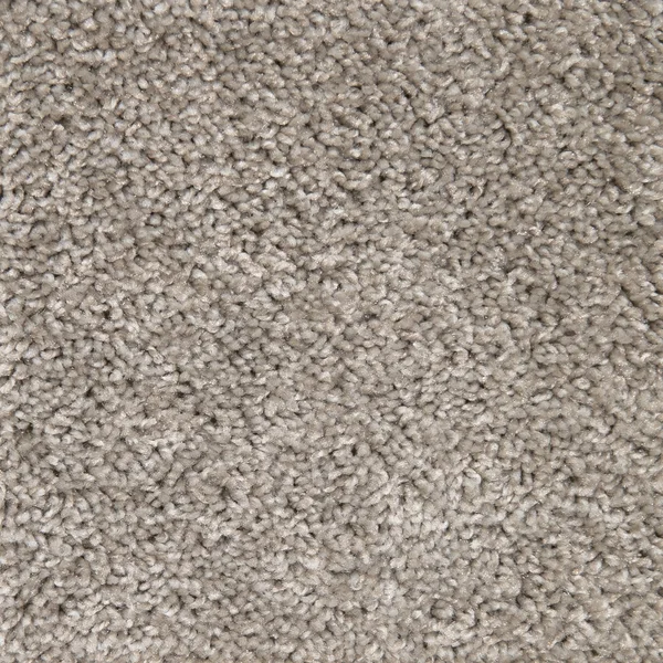 Flooring² Frisco - Chrome — Broadloom Carpet flooring selection with LeviArs Design & Remodeling