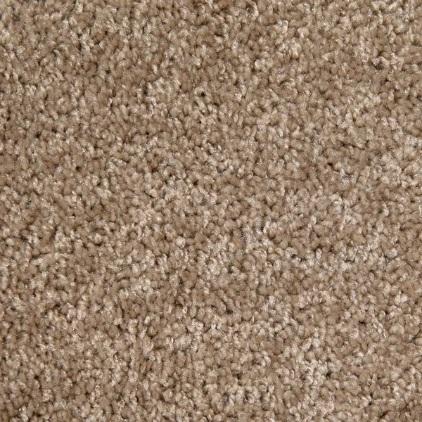 Flooring² Frisco - Doeskin — Broadloom Carpet flooring selection with LeviArs Design & Remodeling