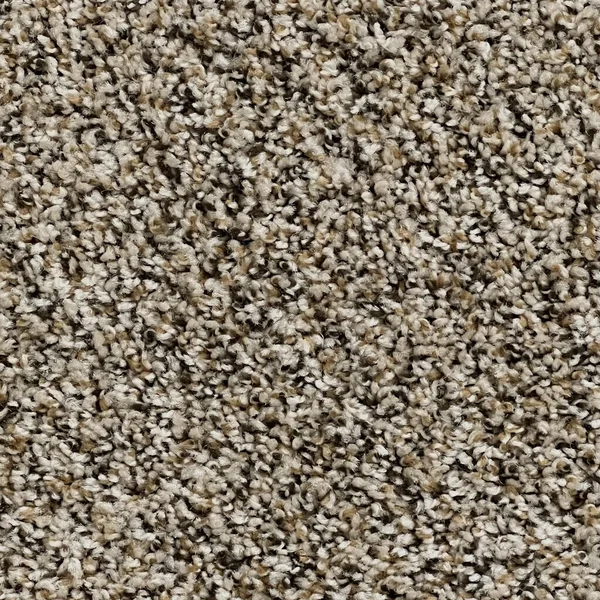Flooring² Frisco - Gingerbread — Broadloom Carpet flooring selection with LeviArs Design & Remodeling