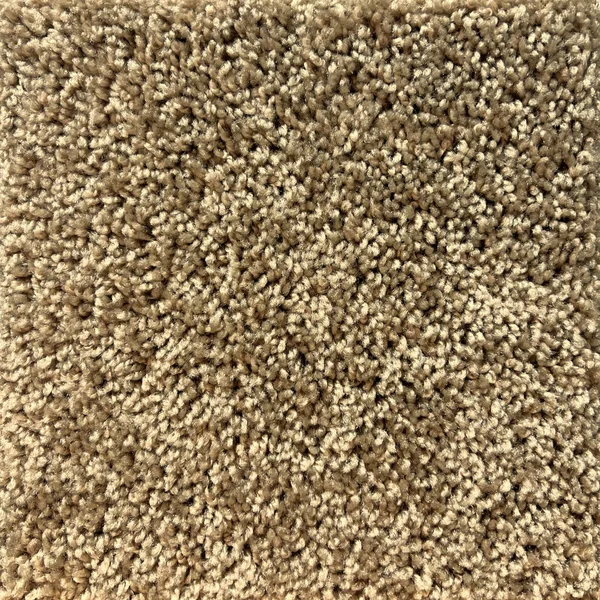 Flooring² Frisco - Honey Beige — Broadloom Carpet flooring selection with LeviArs Design & Remodeling