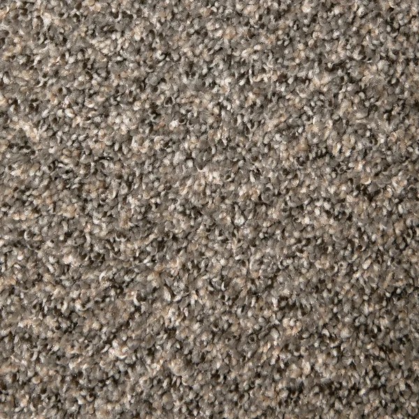 Flooring² Frisco - Ironside — Broadloom Carpet flooring selection with LeviArs Design & Remodeling