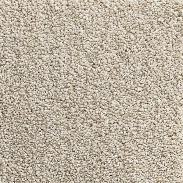 Flooring² Graceful - Alabaster — Broadloom Carpet flooring selection with LeviArs Design & Remodeling
