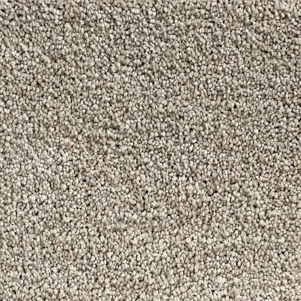 Flooring² Graceful - Anchor — Broadloom Carpet flooring selection with LeviArs Design & Remodeling