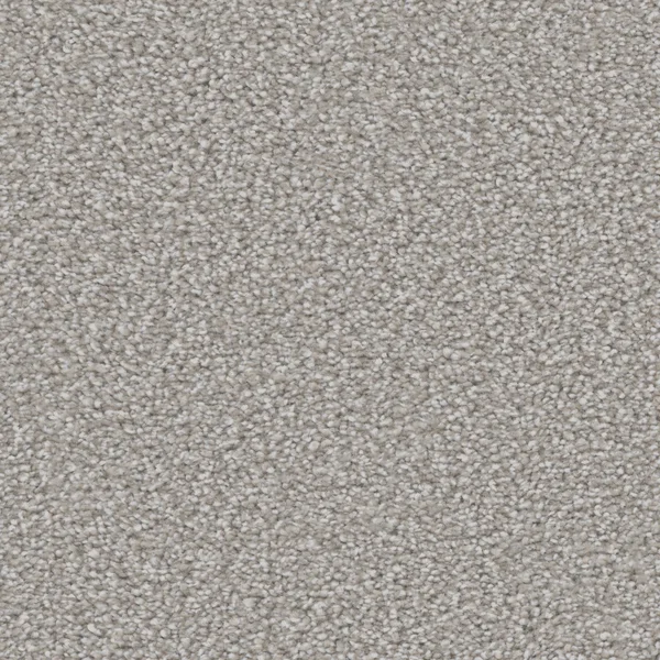 Flooring² Graceful - Conch Shell — Broadloom Carpet flooring selection with LeviArs Design & Remodeling
