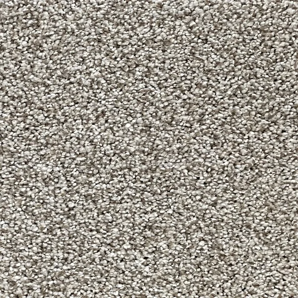 Flooring² Graceful - Emerald — Broadloom Carpet flooring selection with LeviArs Design & Remodeling