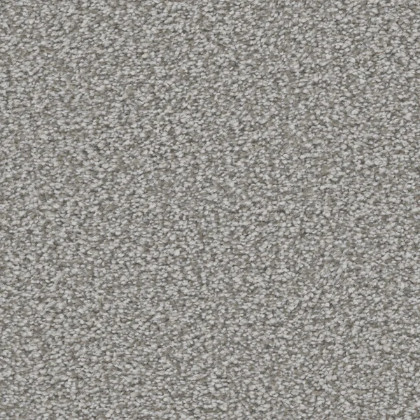 Flooring² Graceful - Quartz — Broadloom Carpet flooring selection with LeviArs Design & Remodeling