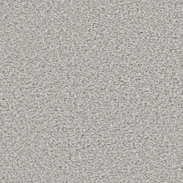Flooring² Graceful - Sand Dollar — Broadloom Carpet flooring selection with LeviArs Design & Remodeling