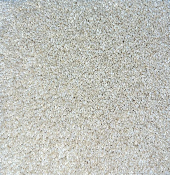 Flooring² Homage - Alabaster — Broadloom Carpet flooring selection with LeviArs Design & Remodeling