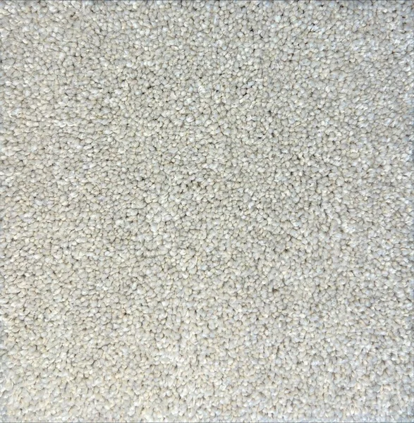 Flooring² Homage - Anchor — Broadloom Carpet flooring selection with LeviArs Design & Remodeling