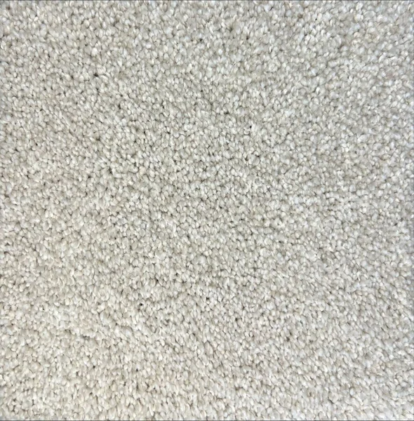 Flooring² Homage - Sand Dollar — Broadloom Carpet flooring selection with LeviArs Design & Remodeling