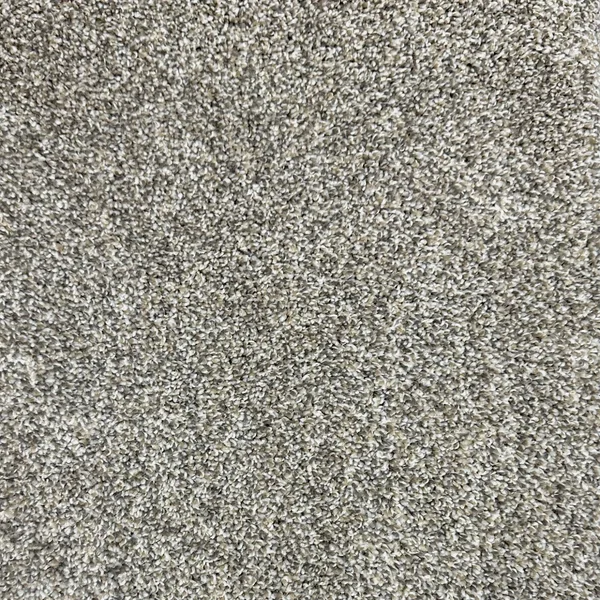 Flooring² Luxury Suite - Timberwolf — Broadloom Carpet flooring selection with LeviArs Design & Remodeling