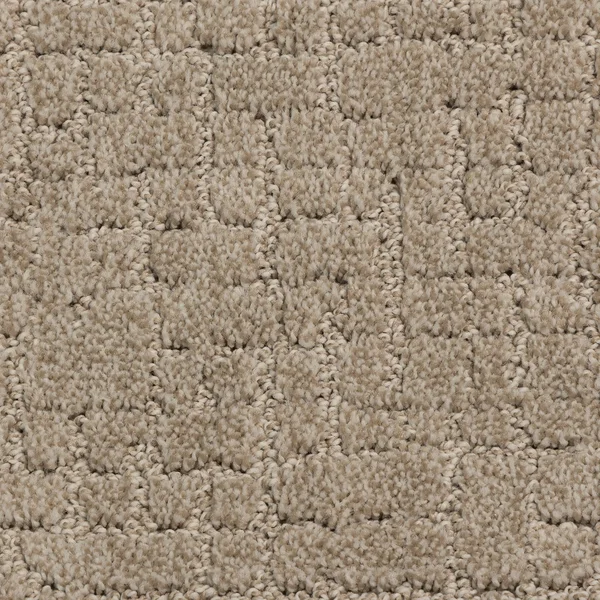 Flooring² Mirror Lake - Fieldcrest — Broadloom Carpet flooring selection with LeviArs Design & Remodeling