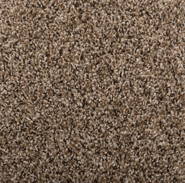 Flooring² Momentum - Island Spice — Broadloom Carpet flooring selection with LeviArs Design & Remodeling