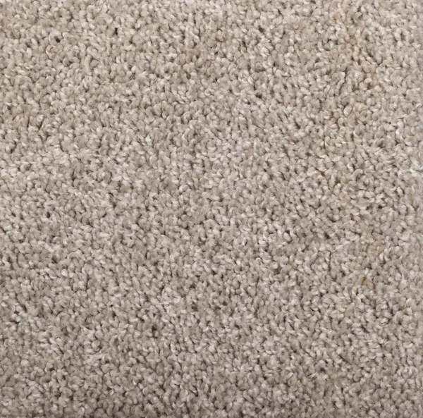 Flooring² Momentum - Jetstream — Broadloom Carpet flooring selection with LeviArs Design & Remodeling